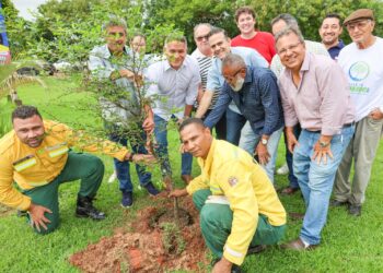 Governo inicia projeto que vai arborizar e melhorar qualidade ambiental em 12 cidades do interior