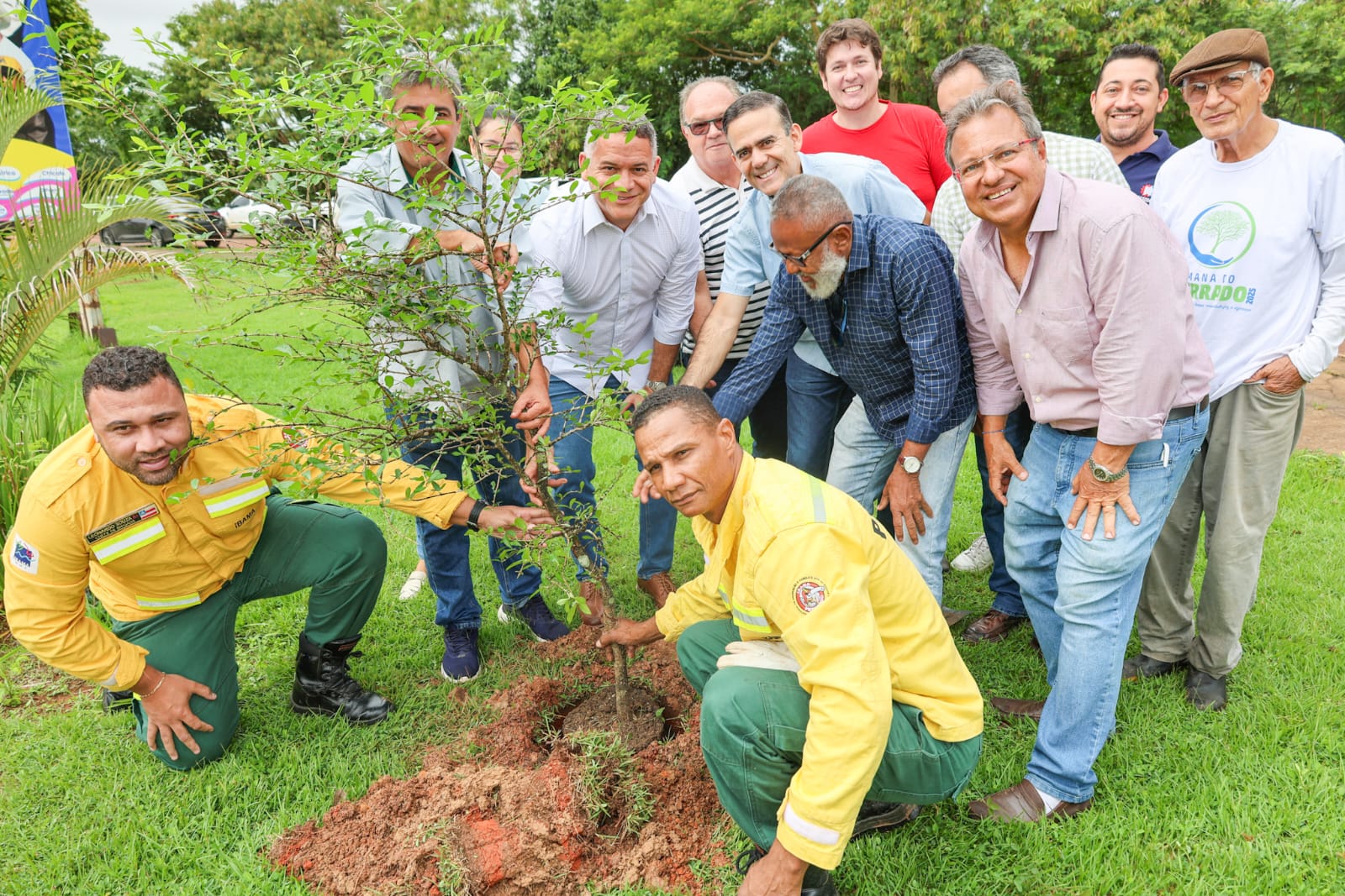Governo inicia projeto que vai arborizar e melhorar qualidade ambiental em 12 cidades do interior