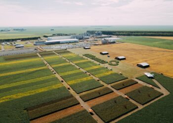 Gestão, eficiência e sucessão familiar pautarão o Dia de Campo da Oilema