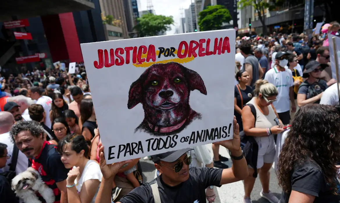 Caso Orelha: polícia pede internação de adolescente envolvido no crime