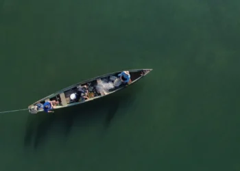 Ministério da Pesca cancela mais de 76 mil licenças de pescadores