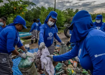 Comunidade transforma cenário ambiental da Baía de Guanabara