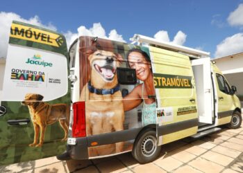 Governo da Bahia entrega unidade de Castramóvel para fortalecer controle populacional de cães no semiárido