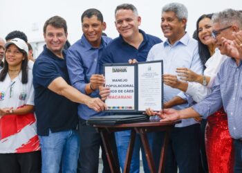 Governo da Bahia amplia programa de controle populacional de cães para 13 municípios do Médio Sudoeste