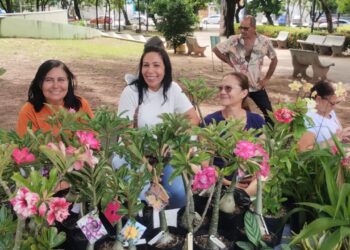1ª Feira de Plantas da Parangaba celebra o Dia da Mulher com programação gratuita e incentivo ao pequeno produtor