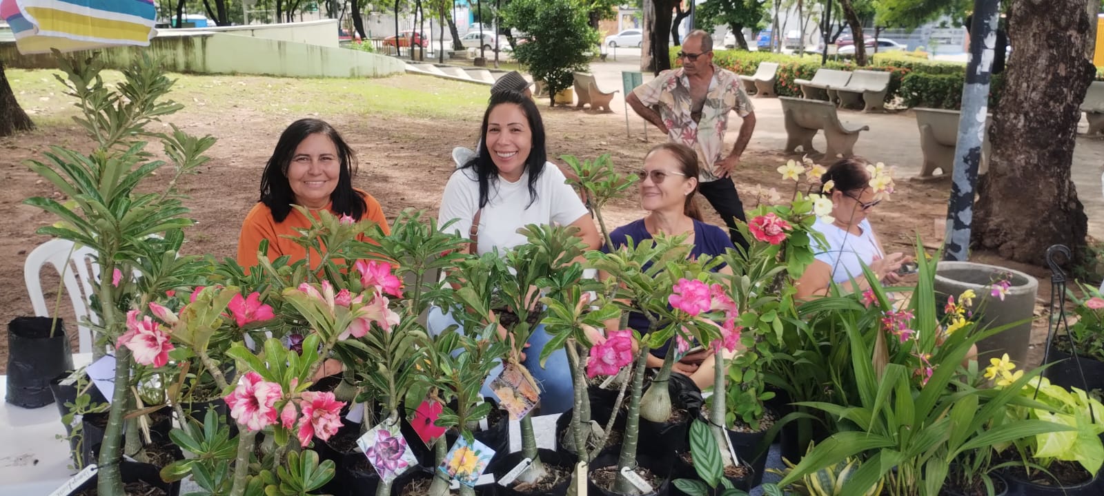 1ª Feira de Plantas da Parangaba celebra o Dia da Mulher com programação gratuita e incentivo ao pequeno produtor