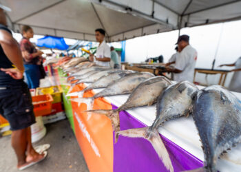 Feira do Peixe acontece em três dias no Centro Comercial de Camaçari