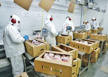 Seagri apresenta liderança da Bahia na avicultura durante simpósio em Feira de Santana