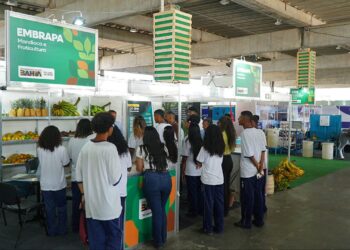 Novo serviço do Feagri conecta municípios a órgãos estratégicos da agropecuária baiana