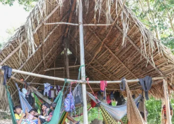Povo Parakanã, do Pará, reocupa território após retirada de invasores