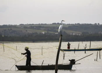 Sexto lote do seguro-defeso será disponibilizado na terça-feira