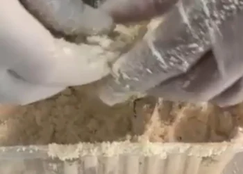 Mulheres são flagradas com drogas escondidas em marmitas na Cadeia Pública