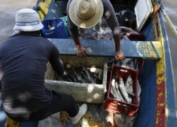 Pescadores beneficiados pelo Seguro-Defeso recebem 6º lote nesta terça