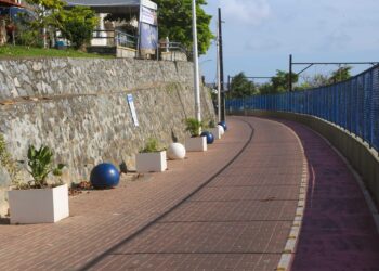Pontos Verdes reforçam importância do descarte regular de lixo em Salvador e valorizam estética da cidade