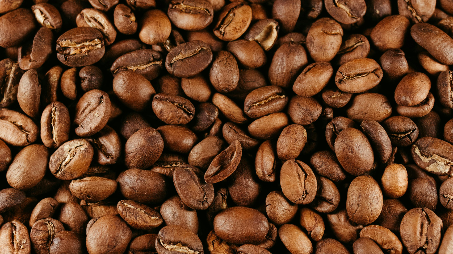 Entre hábito e saúde: os benefícios do café para o organismo
