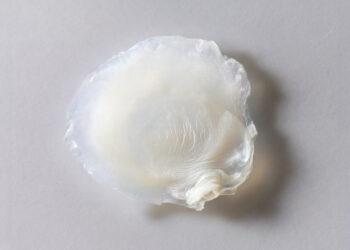 Avon desenvolve primeira pele bioimpressa em laboratório que reproduz efeitos da menopausa