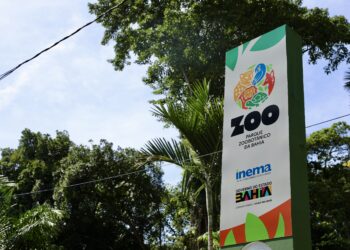 Animais do Parque Zoobotânico da Bahia ganham “Ovozoo de Páscoa” em semana especial de enriquecimento ambiental