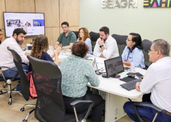 Seagri promove reunião sobre selo de Indicação Geográfica para algodão do Oeste baiano