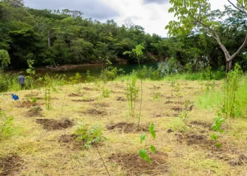 Parque não inclui área destinada a salvar BRB, diz associação