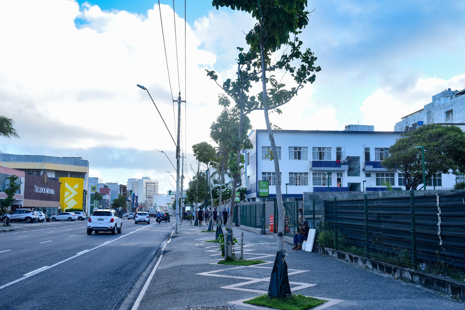 Prefeitura destaca desafio técnico e ambiental do plantio de árvores adultas no Corredor Verde da Av. Manoel Dias