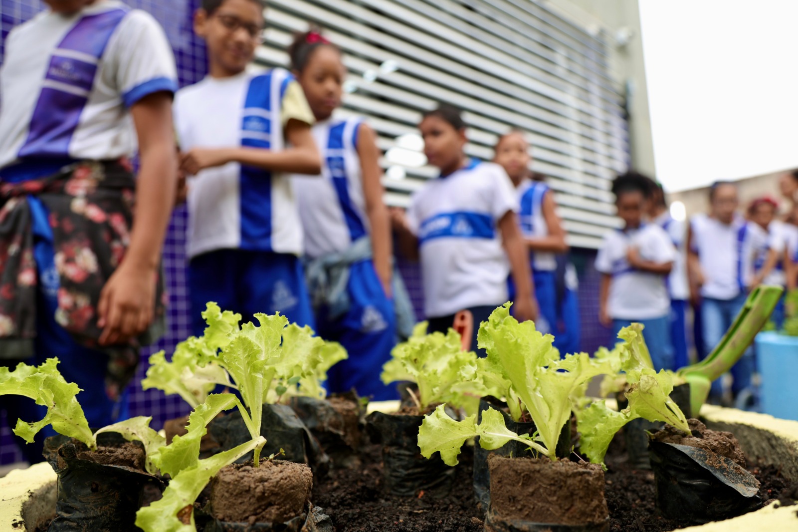 Plantio de horta escolar marca abertura do Ambientaliza Salvador em São Caetano