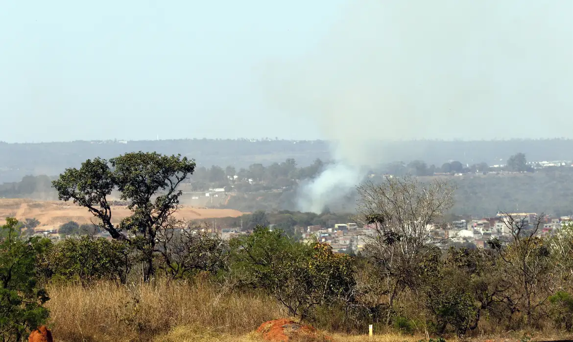 MMA lança edital para arborizar periferia urbana de pequenas cidades