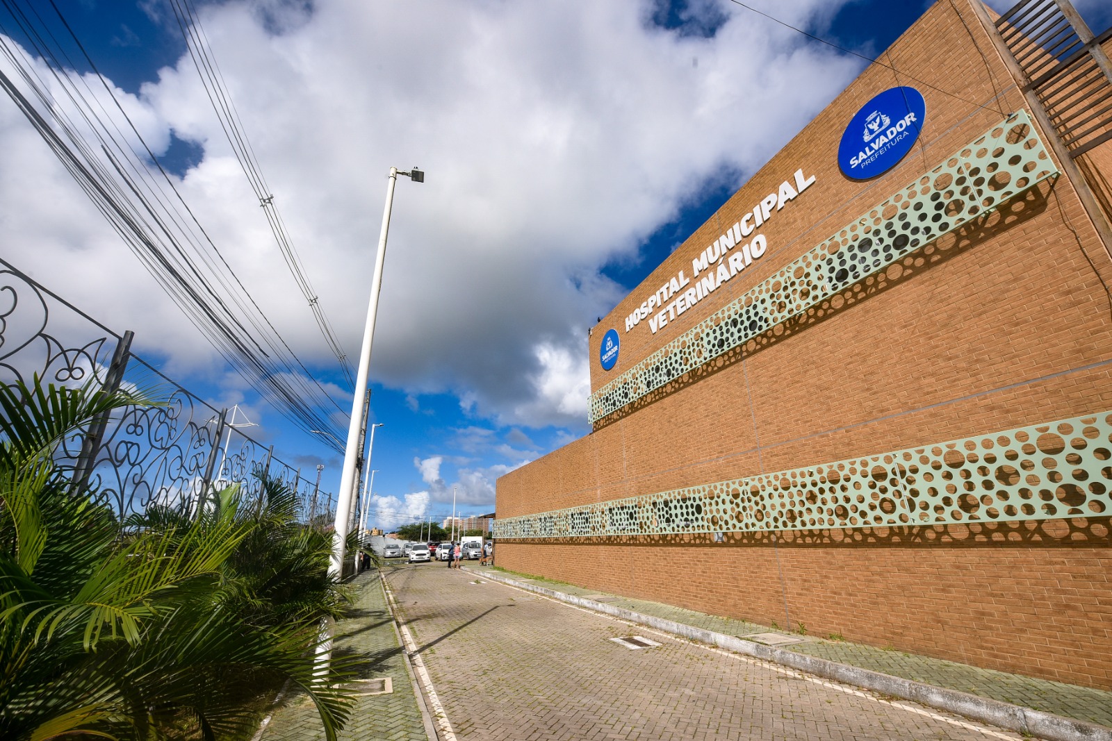 Hospital Público Veterinário de Salvador reforça que abandono de animais é crime