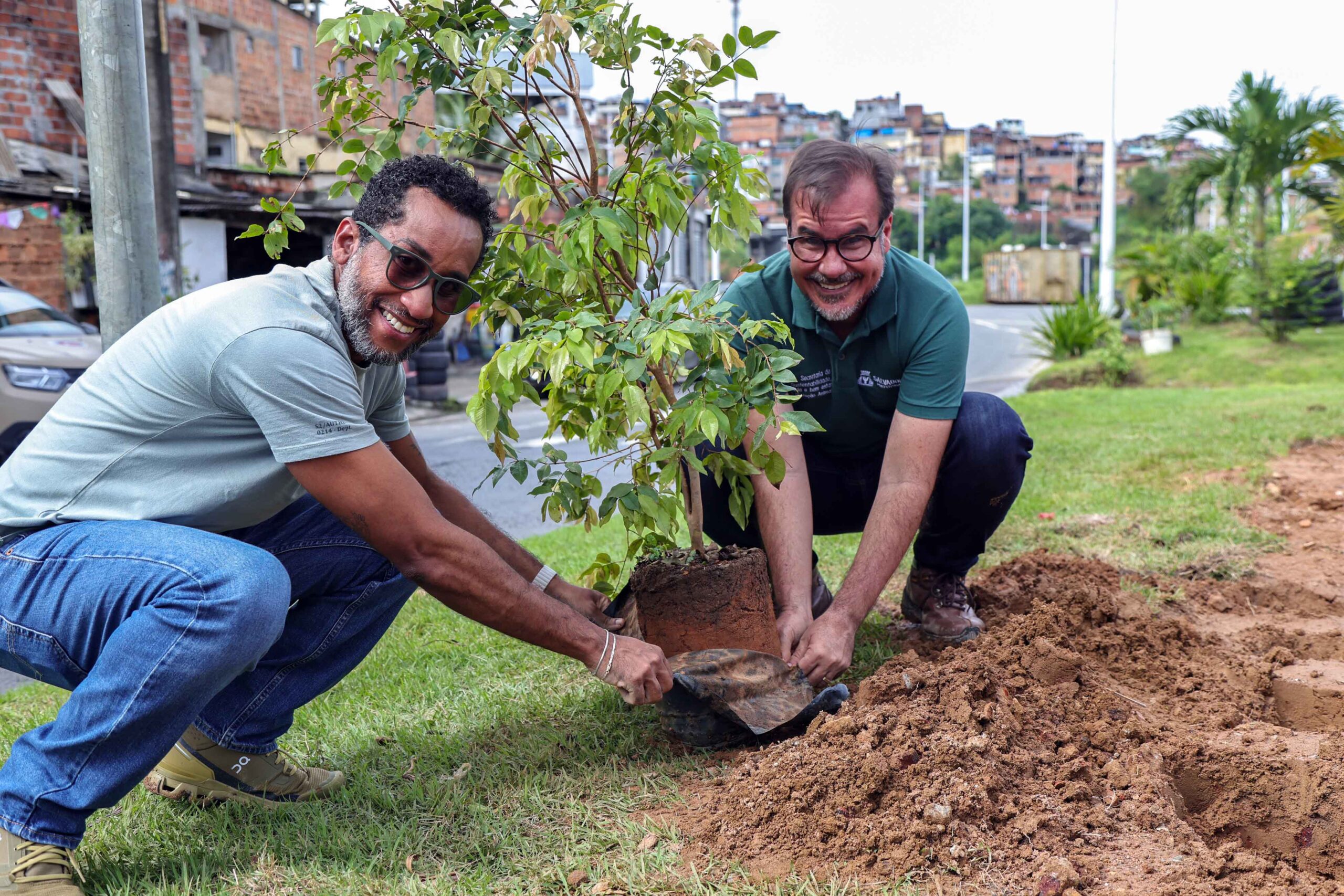 Salvador ganha primeira microfloresta urbana com mais de 1 mil mudas plantadas entre as avenidas Gal Costa e Jayme Figura