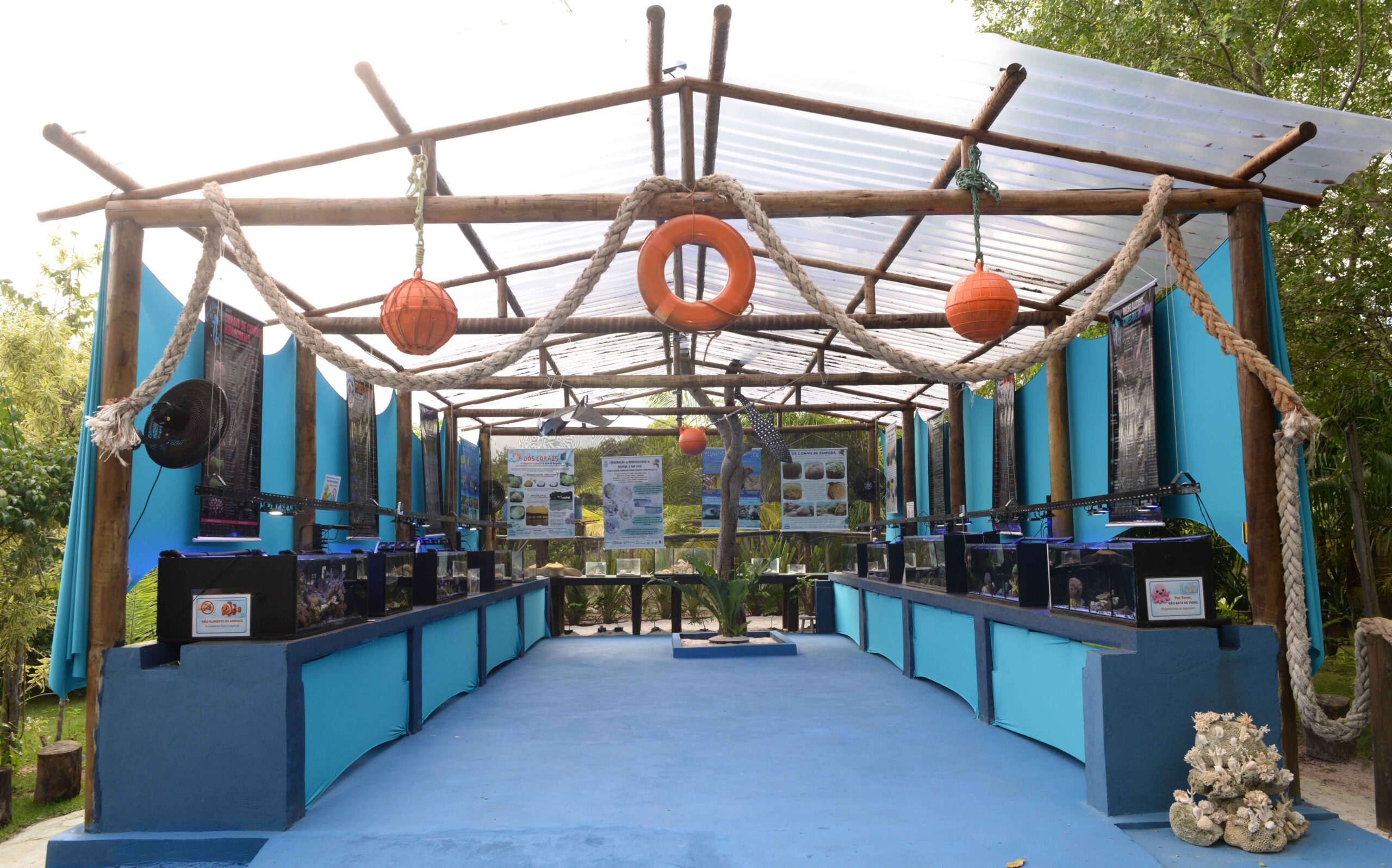 Salvador ganha Aqua Salvador, espaço dedicado à conscientização sobre ecossistemas marinhos no Parque das Dunas