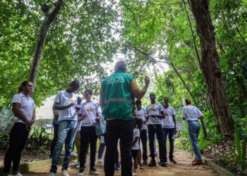 Salvador integra grupo de 300 cidades no mundo selecionadas para o Fundo de Ação Climática para a Juventude