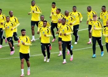 Semelhanças entre Brasil e África do Sul vão além do verde e amarelo