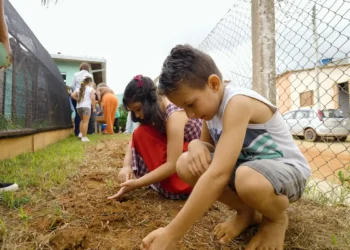 Natureza e saberes tradicionais guiam projeto premiado em escola rural