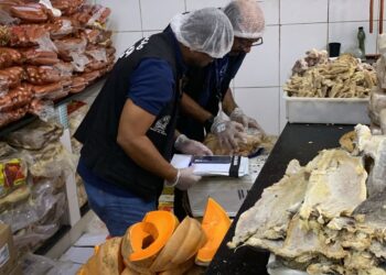 Procon-BA retira mais de uma tonelada de alimentos impróprios para consumo