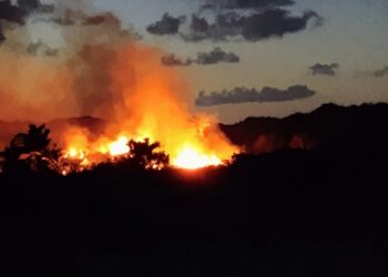 São João exige atenção redobrada para prevenir queimadas e acidentes em áreas de preservação ambiental