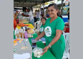 Agricultores familiares aumentam renda em 30% com programa federal