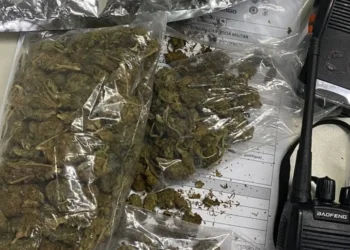 Gamboa: drogas são apreendidas pela PM