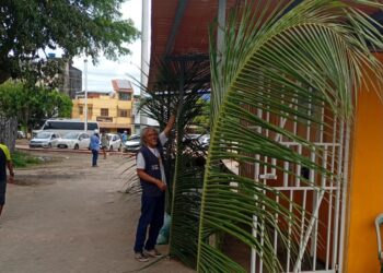 Projeto Girassóis de Rua promove programação junina para pessoas em situação de rua em Salvador