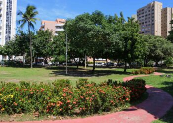 Programa Verde Perto tem atualmente 39 espaços públicos adotados pela sociedade civil em Salvador