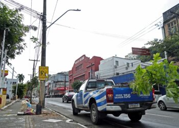 Prefeitura promove plantio na Avenida Jequitaia em combate ao vandalismo contra mudas