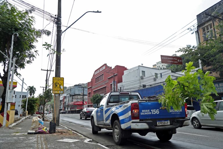 23_07_2026_Plantio Avenida jequitaia_Fot Bruno Concha_Secom_Pms (3)