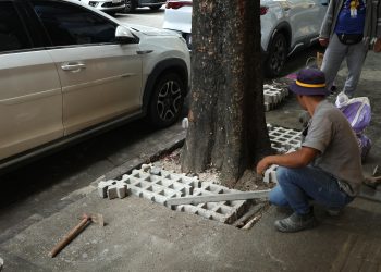 Prefeitura inicia programa de recuperação de canteiros arbóreos com serviços na Rua Portugal, no Comércio
