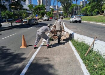 Prefeitura realiza operação permanente de manutenção urbana em Salvador com ações preventivas e corretivas