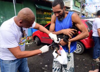 Campanha antirrábica 2026: Salvador intensifica vacinação de cães e gatos a partir desta segunda-feira (20)