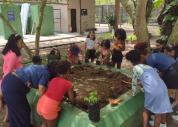 Em Itaparica, estudantes transformam visitas escolares em experiências científicas