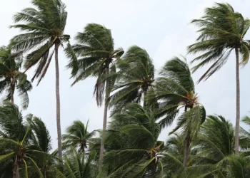 Ventos provocam danos na Costa Verde e na região serrana do RJ