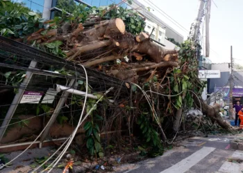 Ventania em RJ, SP e RS expõe falhas na resposta a extremos climáticos