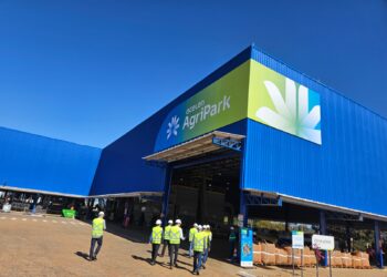 Bahia busca referência em tecnologia para produção de biocombustível a partir da macaúba