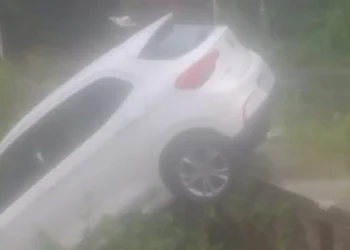 Avenida Gal Costa: carro cai em córrego