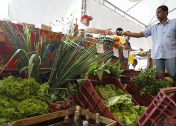 Decreto adia exigência de CNPJ para autônomos e produtores rurais