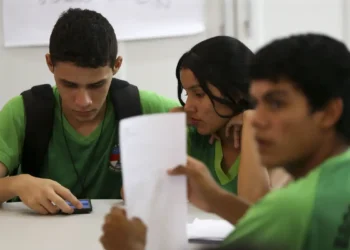 Inclusão digital no Brasil é feita pela metade, mostra pesquisa